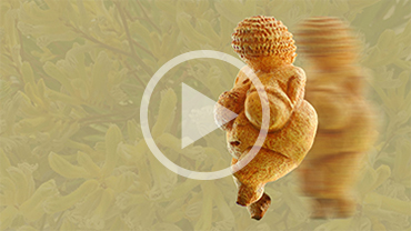 Venus of Willendorf: Reimagined for 25 Years